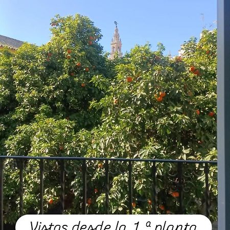 Apartamentos En La Plaza Dona Elvira, 7 Seville Ngoại thất bức ảnh