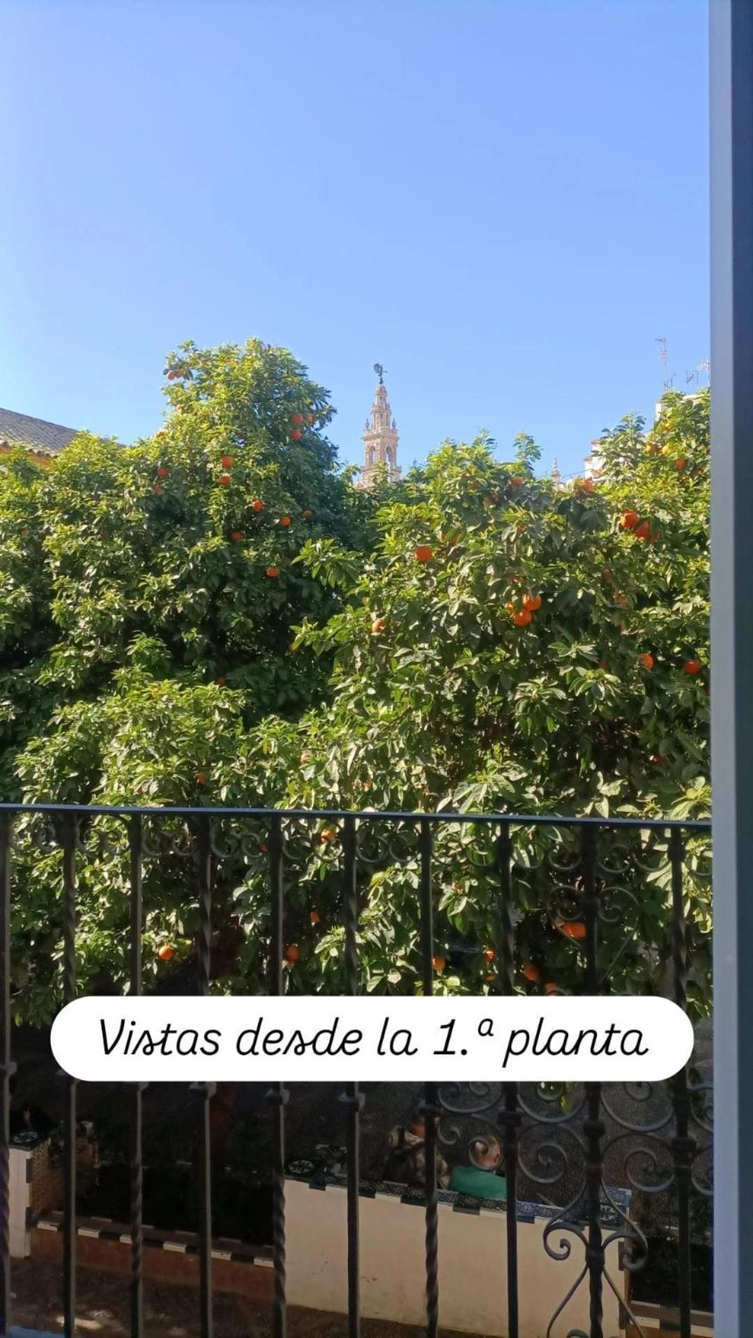 Apartamentos En La Plaza Dona Elvira, 7 Seville Ngoại thất bức ảnh