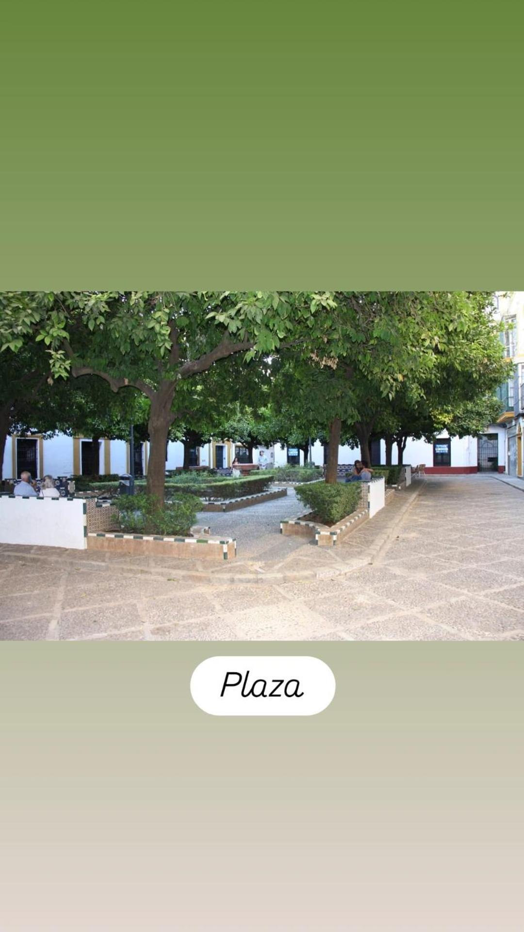 Apartamentos En La Plaza Dona Elvira, 7 Seville Ngoại thất bức ảnh