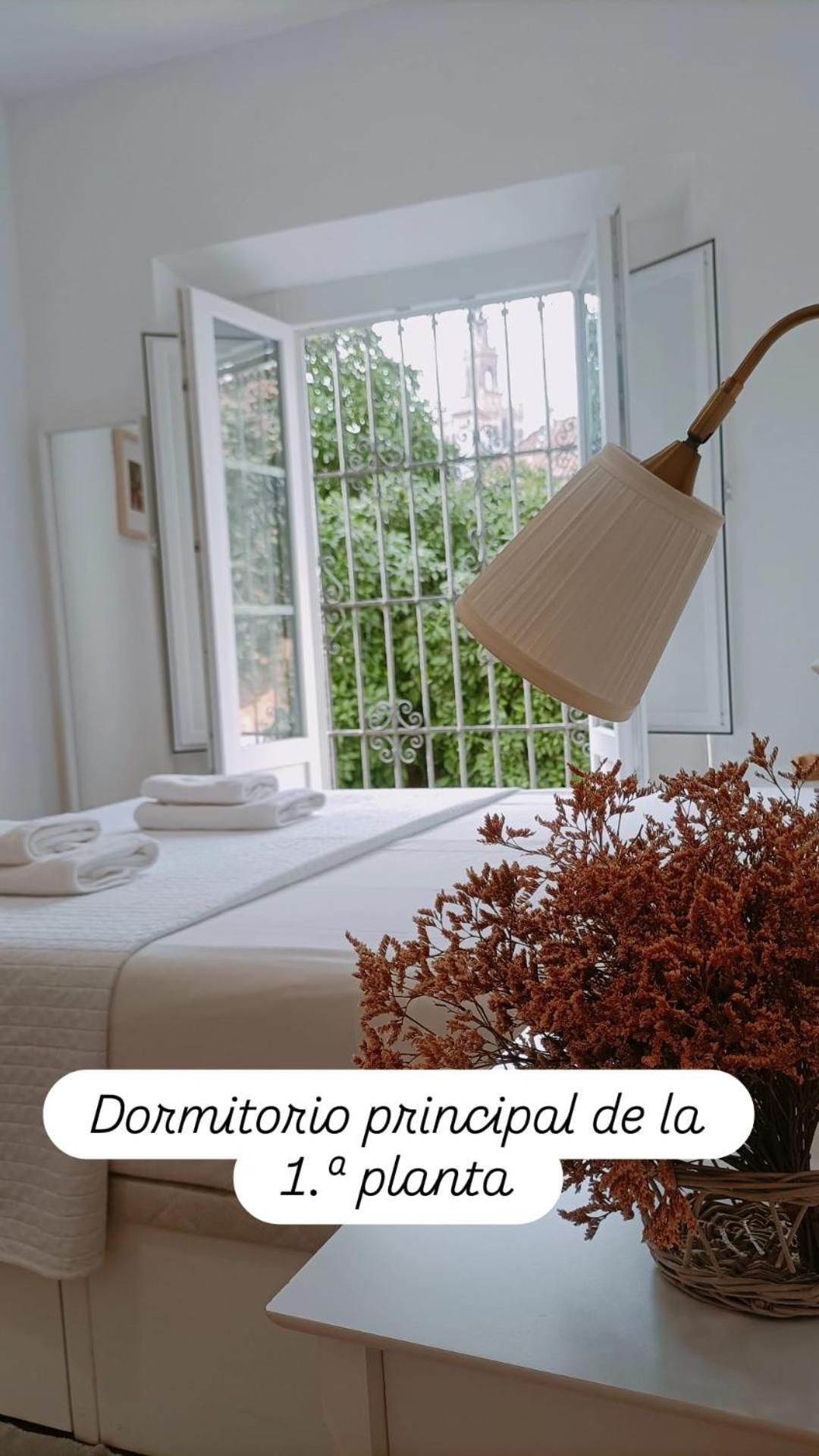 Apartamentos En La Plaza Dona Elvira, 7 Seville Ngoại thất bức ảnh